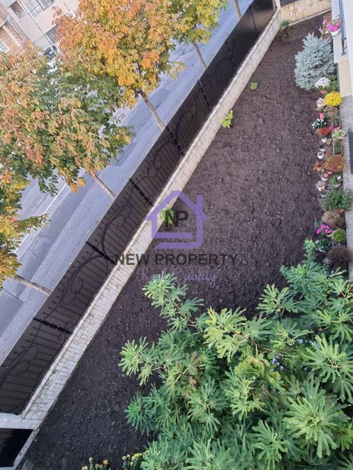 Снимка 338115157