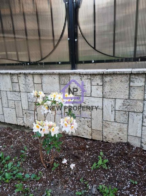 Снимка 338115160