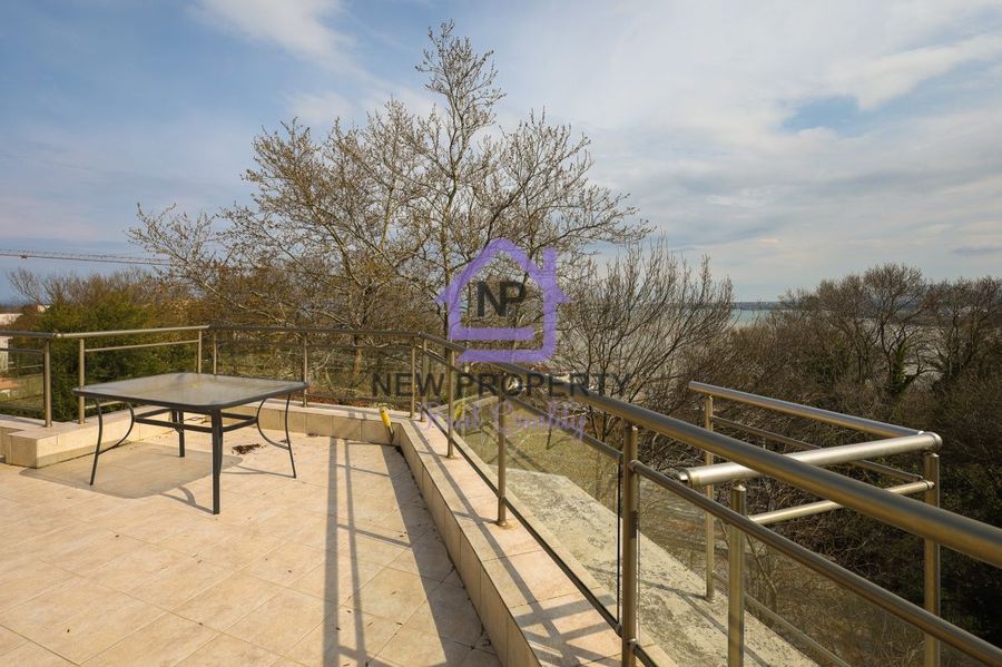 Снимка 338222116