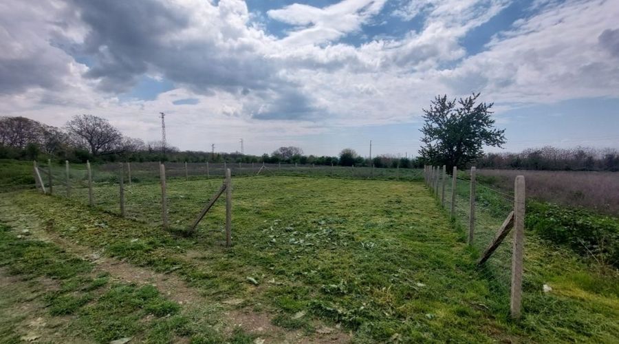 Снимка 338337283