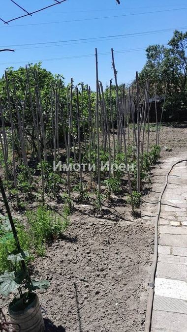 Снимка 338338603