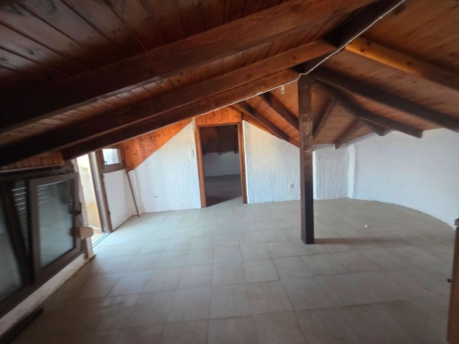 Fotografie 338625250