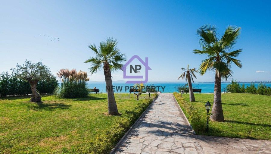 Снимка 338713327