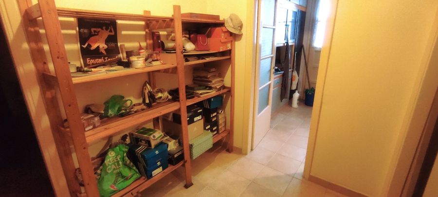 صورة فوتوغرافية 338774956