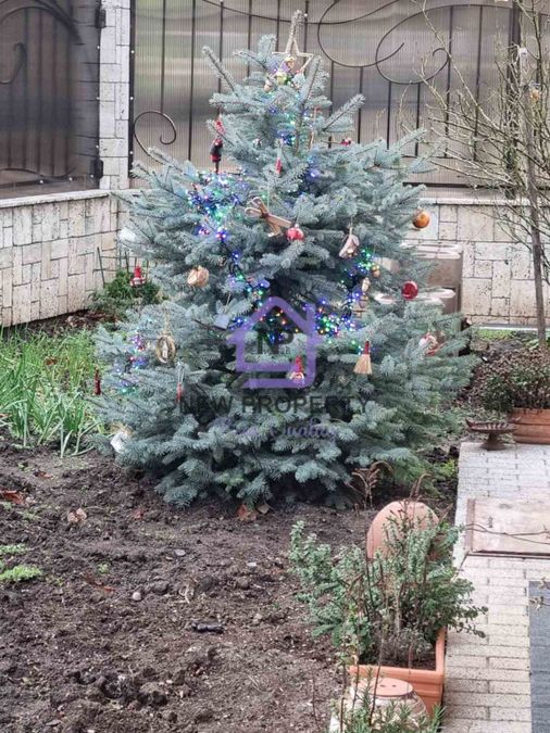 Снимка 338819761