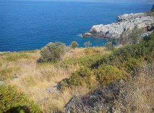 Οικόπεδο, Καλαμάτα