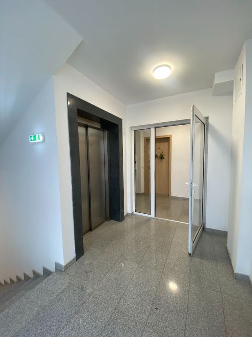 Снимка 339203653