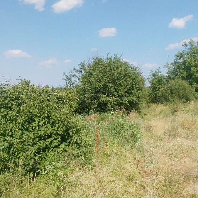 Снимка 339554617