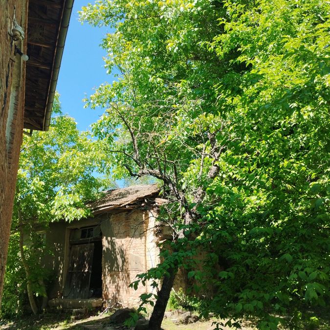 Снимка 339579115