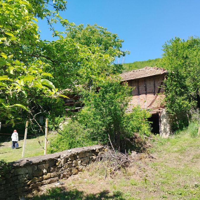 Снимка 339579154