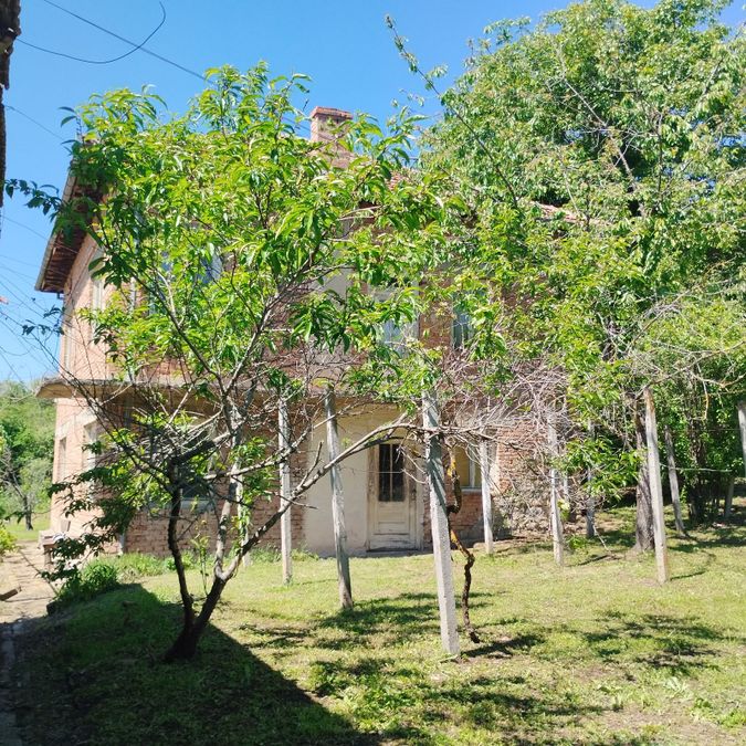 Снимка 339579202