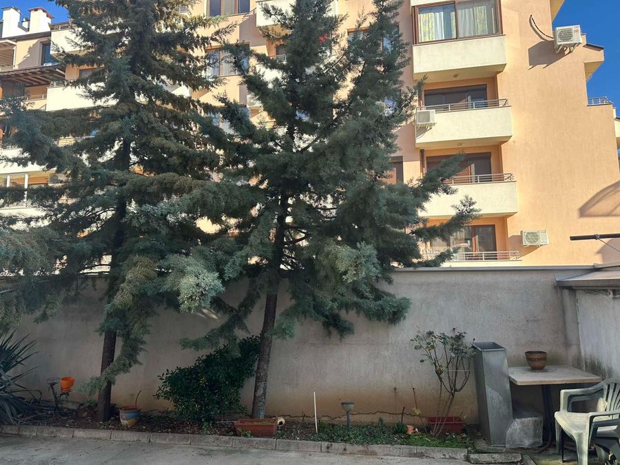 Снимка 340512460