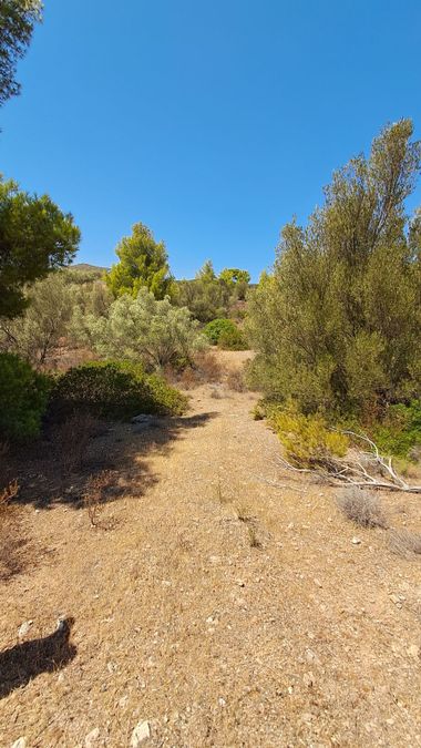 Photo 342529450