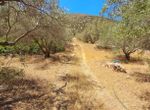 Photo 342533422
