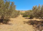 Photo 342533431