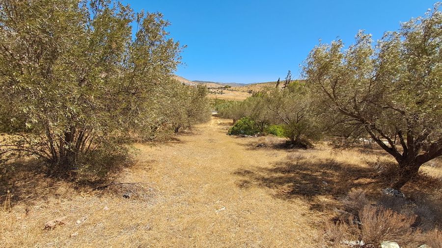Photo 342533431