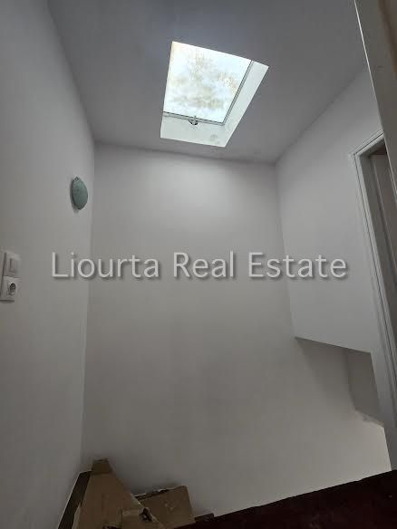 Fotografie 342941176