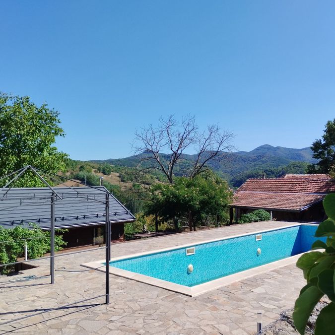 Снимка 343072564