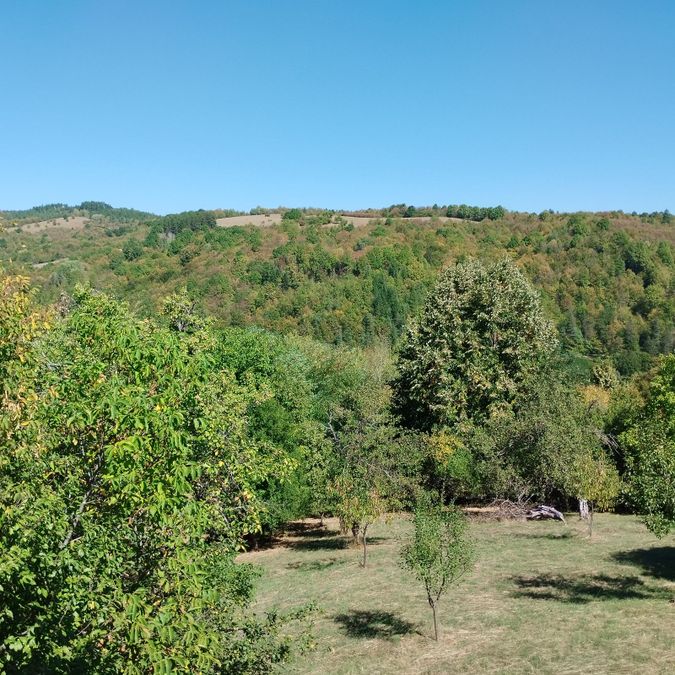 Снимка 343654645