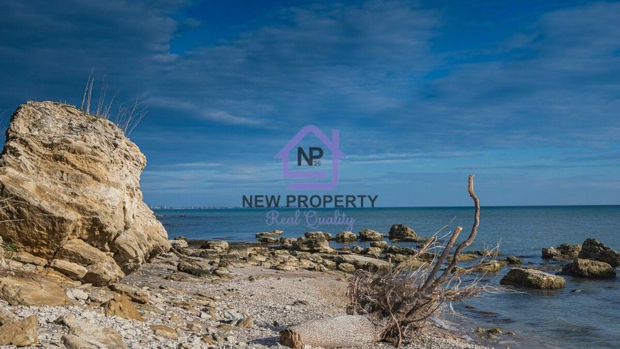 Снимка 343864828