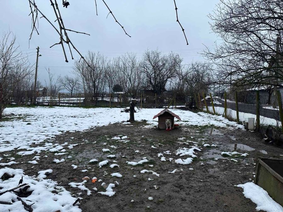 Снимка 344640775