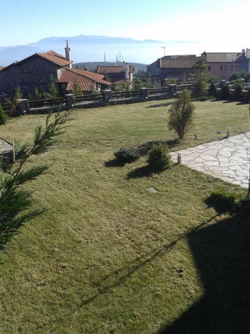 Photo 345815767