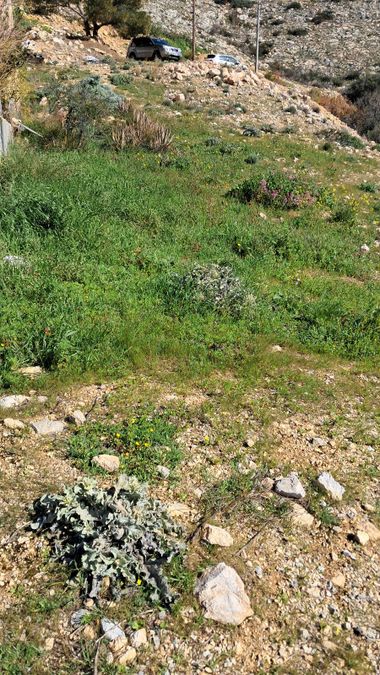 Photo 346229218