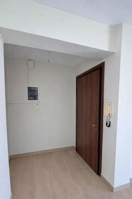 Photo 347231692