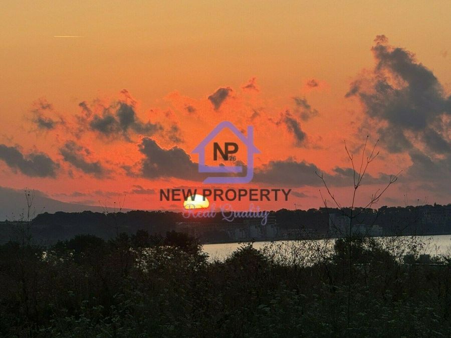 Снимка 347376229