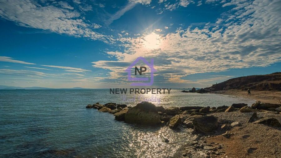 Снимка 347376232