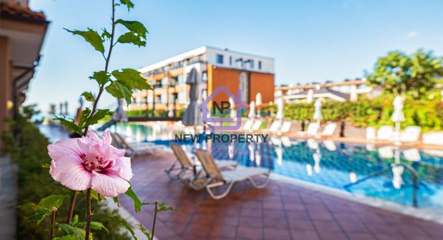 Снимка 347509648