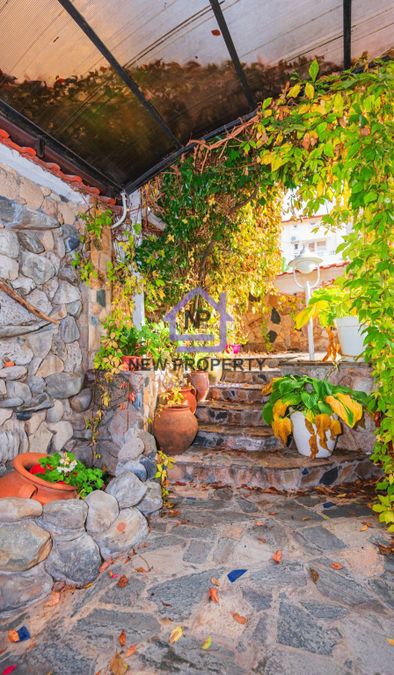 Снимка 347509861