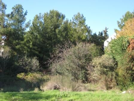 Photo 347609503