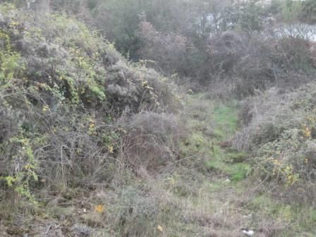 Photo 347609701