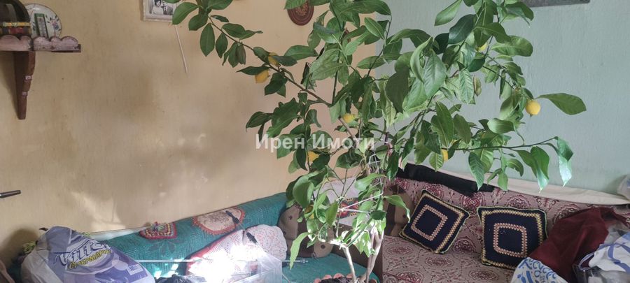 Снимка 347831908