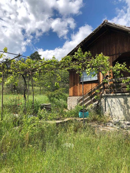 Снимка 347868388