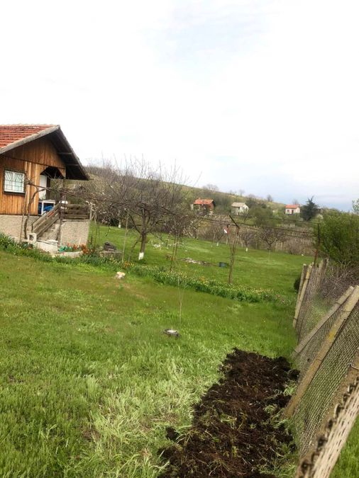 Снимка 347868406