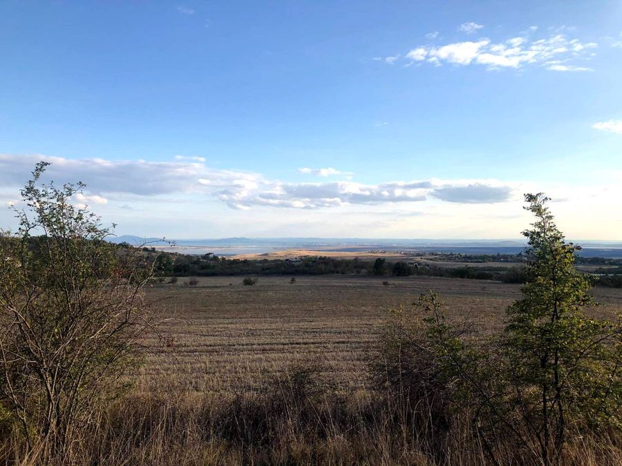 Снимка 347868412