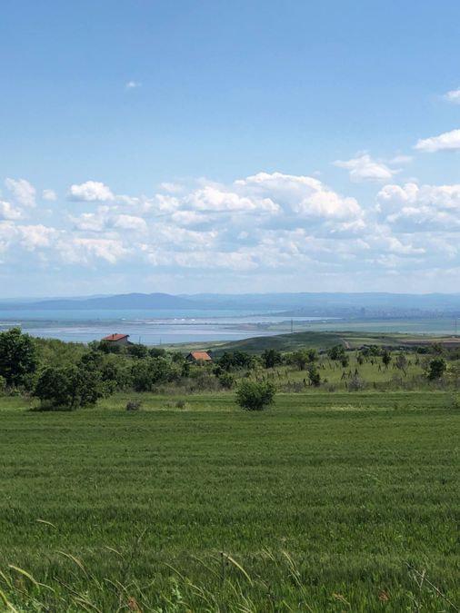 Снимка 347868439