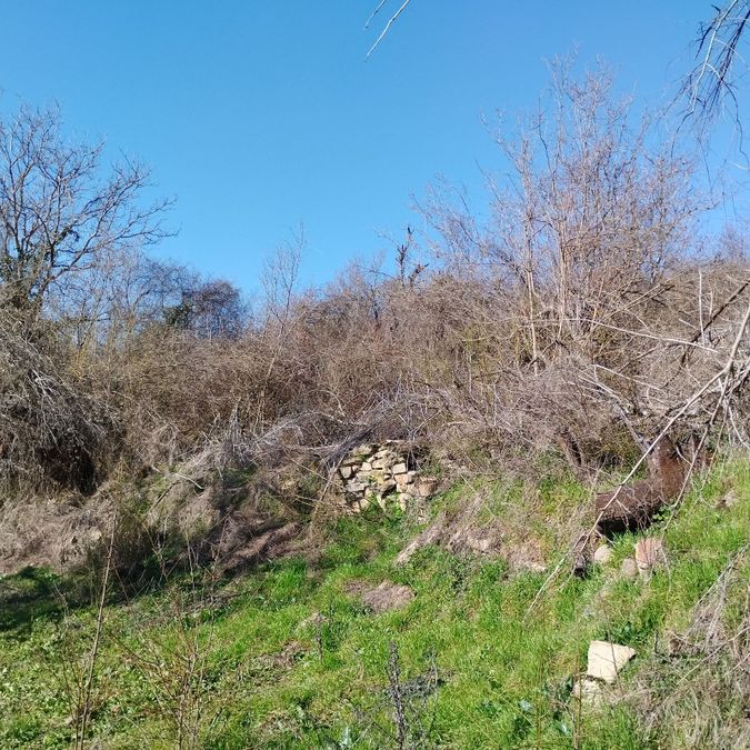 Снимка 347873536