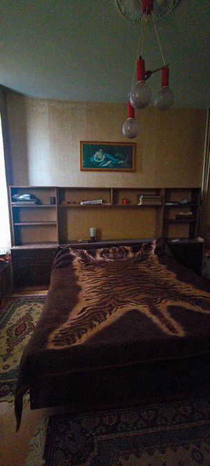 Снимка 348161125