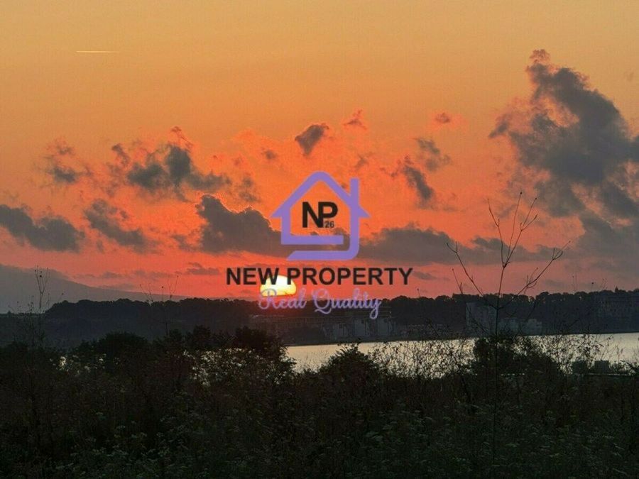 Снимка 348495565