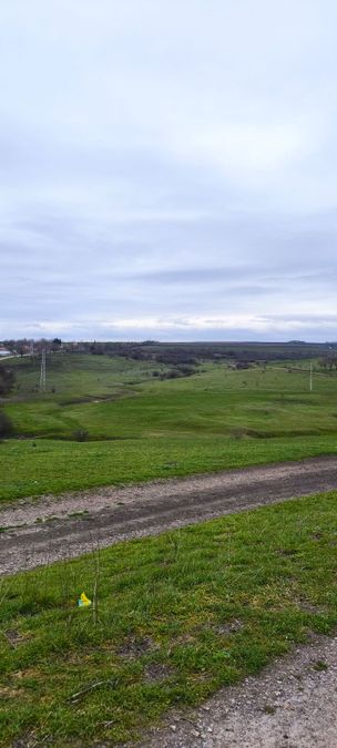 Снимка 348620857