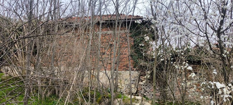 Снимка 348620860