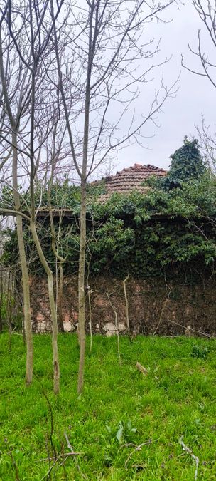 Снимка 348620863