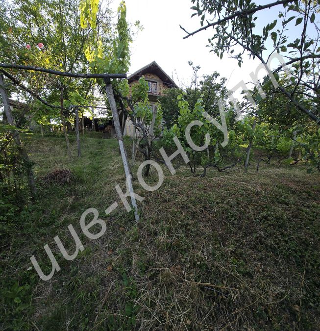 Снимка 348688561