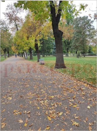 Снимка 349211725