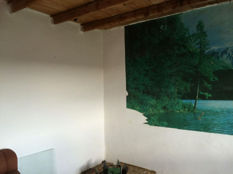 Снимка 349329904