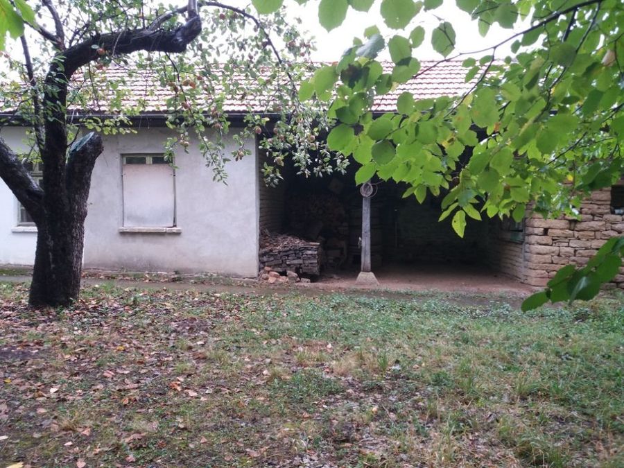 Снимка 349336516