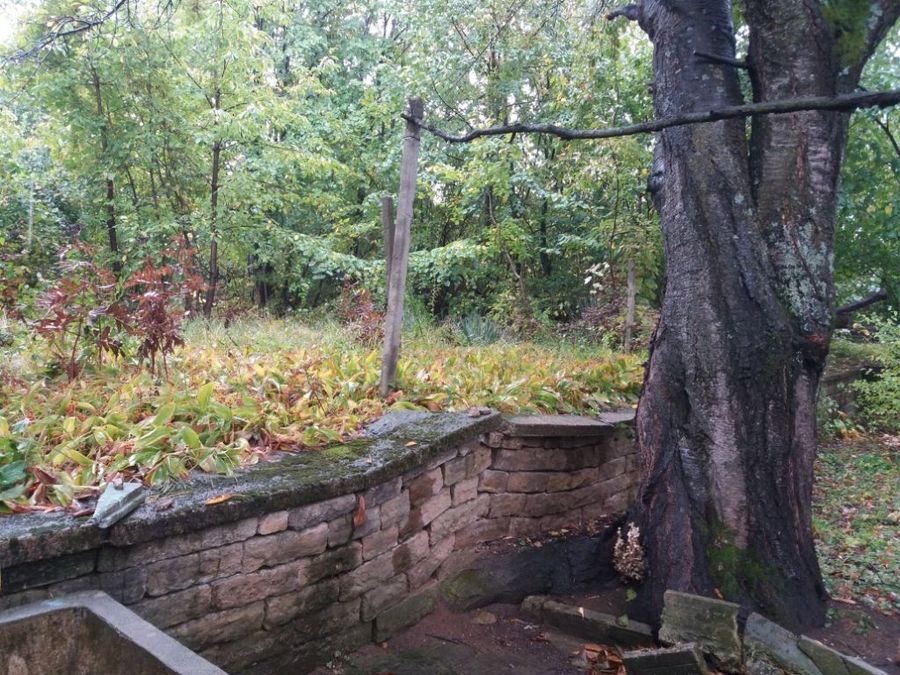 Снимка 349336519